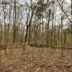 Timberland property for sale in Adams County
