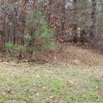 Adams County Timberland property for sale