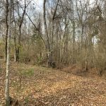 Adams County Recreational property for sale