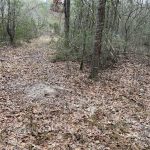 Caldwell Parish Recreational property for sale