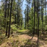 Residential property for sale in Caldwell Parish