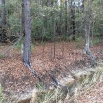 Ranchland for sale in Calcasieu Parish