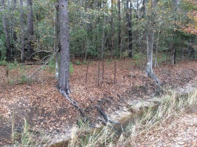 Ranchland for sale in Calcasieu Parish
