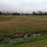 Cameron Parish Recreational land for sale