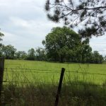 Agricultural property for sale in Calcasieu Parish