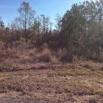 Commercial land for sale in Acadia Parish