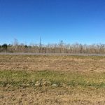 Acadia Parish Commercial land for sale
