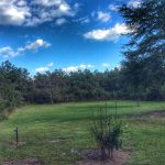 Allen Parish Hunting land for sale