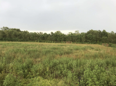 Recreational land for sale in Jefferson Davis Parish