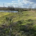 Jefferson Davis Parish Agricultural land for sale