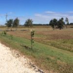 Investment land for sale in Jefferson Davis Parish