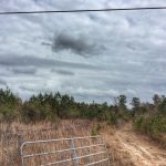 Calcasieu Parish Agricultural land for sale