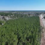 Timberland property for sale in Allen Parish