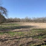 West Feliciana Parish Recreational land for sale
