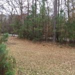 Timberland for sale in West Feliciana Parish