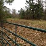 Recreational property for sale in West Feliciana Parish