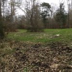 West Feliciana Parish Investment land for sale