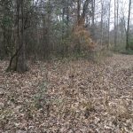 West Feliciana Parish Residential land for sale