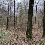 West Feliciana Parish Residential land for sale