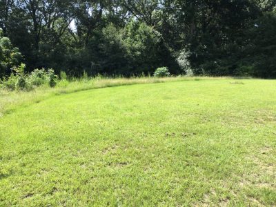 West Feliciana Parish Residential property for sale
