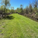 Investment land for sale in St. Landry Parish