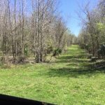 Recreational property for sale in St. Landry Parish