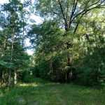 Investment property for sale in Webster Parish