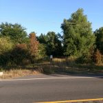 Webster Parish Recreational land for sale